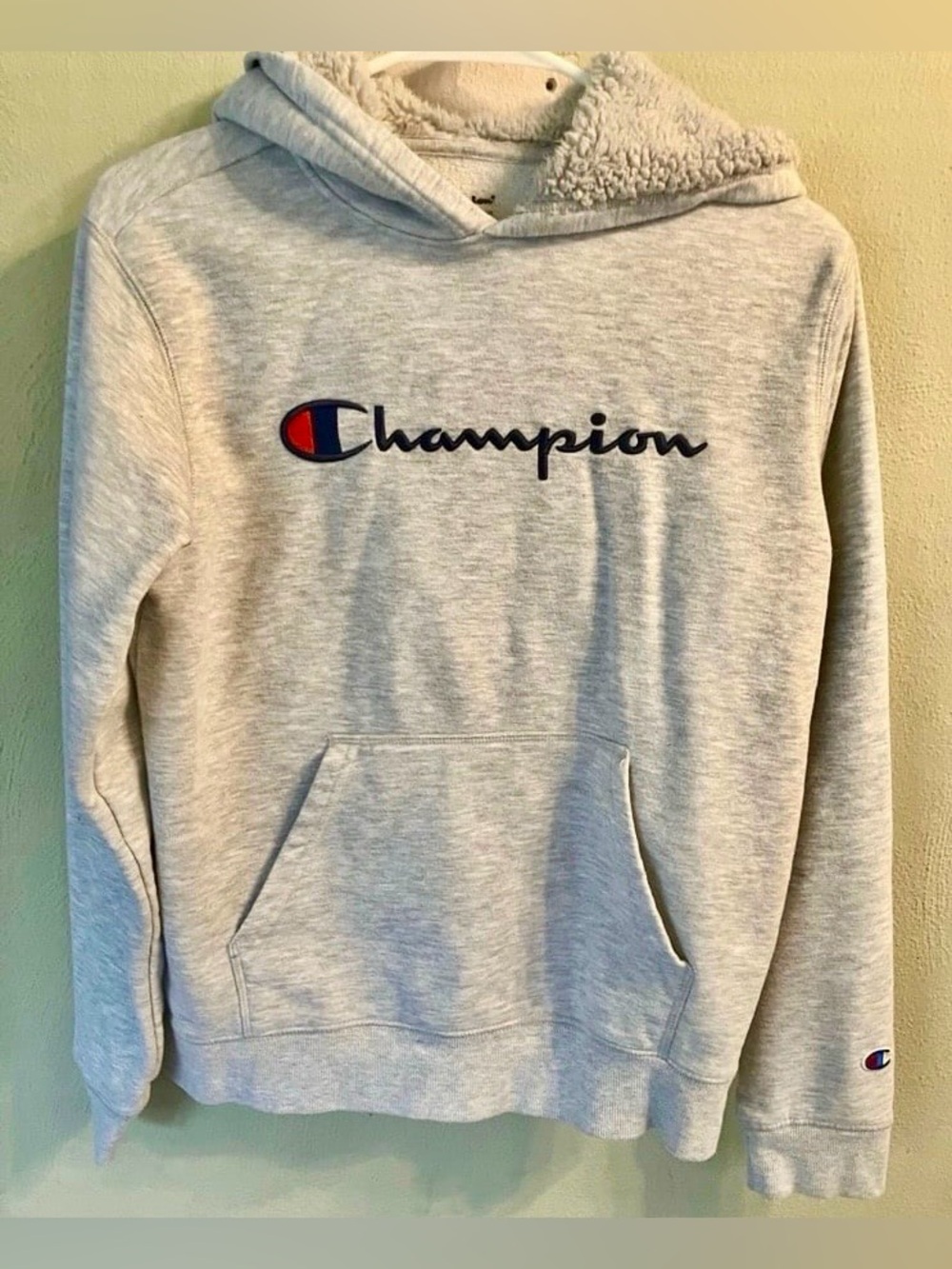 Lot of 2 Boys Champion Sherpa Hoodies XLarge